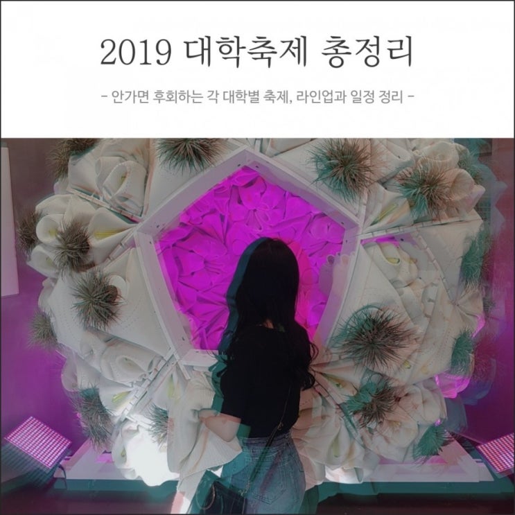  2019 대학축제 일정 및 라인업 총정리 (고려대, 동국대, 경희대, 성균관대 등 다수)