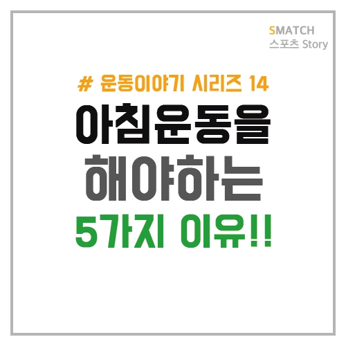  아침 운동을 해야 하는 5가지 이유!