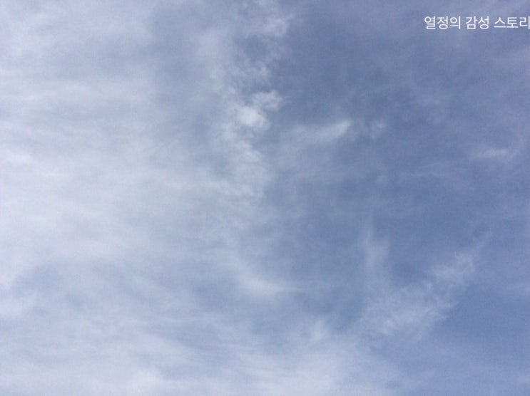  오늘 그리고 내일 통영/거제 날씨 2019.05.16(미세먼지 보통 45/)