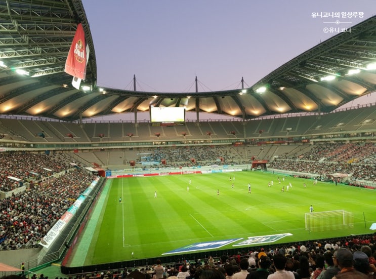 FC서울vs대구 축구경기 직관, 월드컵경기장으로!