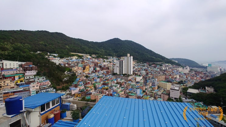  부산여행 감천문화마을 다녀왔어요.