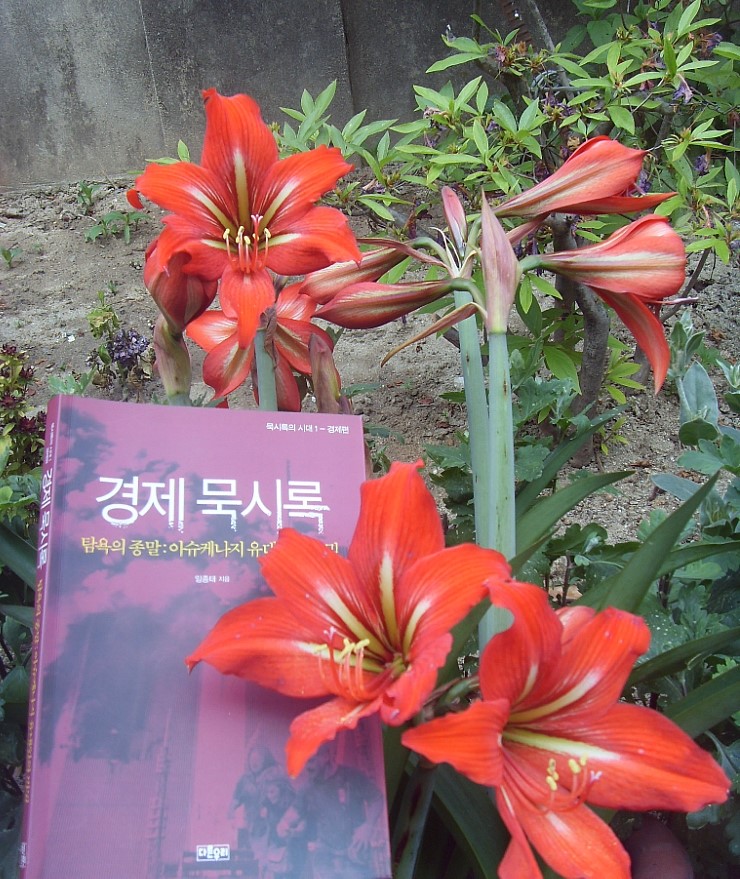  경제묵시록