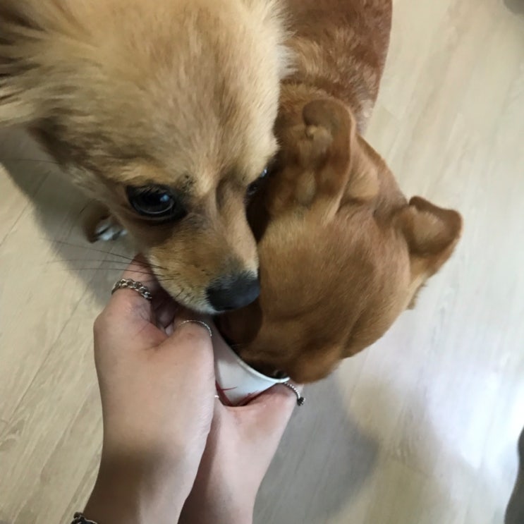  작고 소소한 현아의일상/창원NC파크