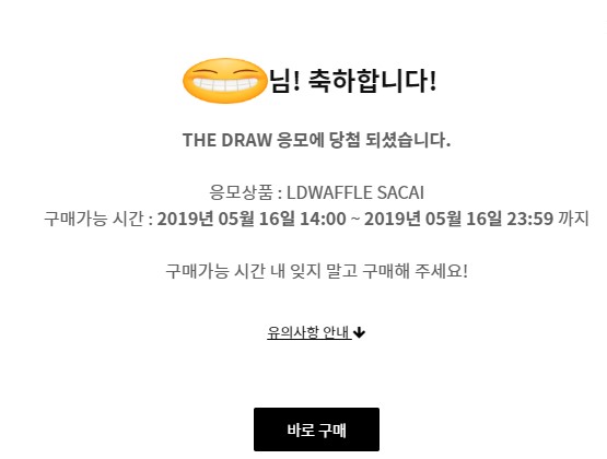  나이키 사카이 와플 당첨됬네요 ㅎㅎ