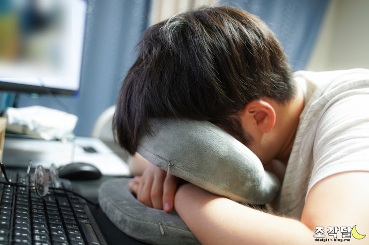  춘곤증으로 나른할 때 시에스타! 여행용목베개 겸 멀티쿠션으로 낮잠베개 활용