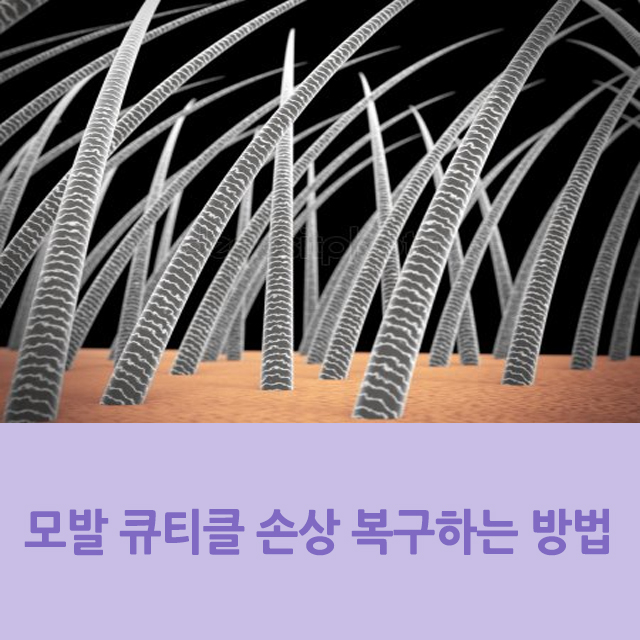  모발 큐티클 손상 복구하는 방법