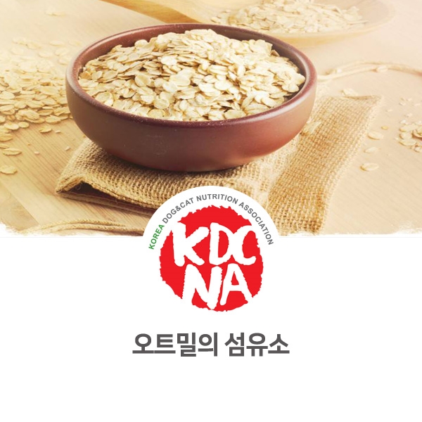  [강아지 고양이 영양 정보] 반려동물 식재료 오트밀의 섬유소 알아보기_94