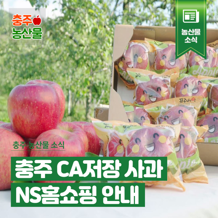 5월 7일 NS홈쇼핑, THE 안심 CA저장 충주 세척사과 방송 안내