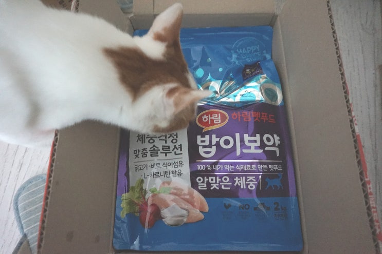  고양이사료추천 / 고양이다이어트 , 하림펫푸드 밥이보약 [알맞은 체중]