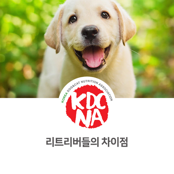[반려동물 정보 뉴스] 리트리버 강아지 종류와 차이점_20