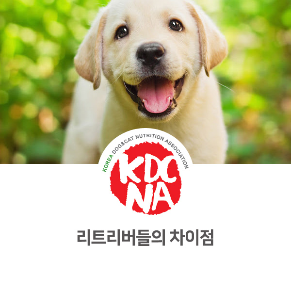  [반려동물 정보 뉴스] 리트리버 강아지 종류와 차이점_20