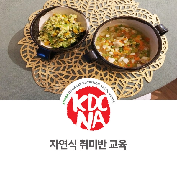  [반려동물 영양 전문 교육] 쁘띠푸드 강아지 자연식 취미반_44