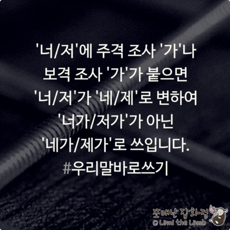  맞춤법 - 우리말 바로쓰기: 네가 제가 (o) 너가 저가 (x) 인칭대명사 활용
