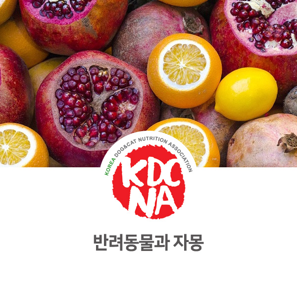  [강아지 고양이 영양 정보] 반려동물 식재료  자몽 먹어도 되나요?_89