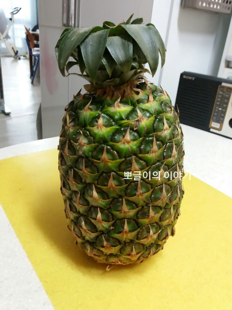 파인애플 자르는방법/파인애플 효능/파인애플 칼로리/파인애플  보관법