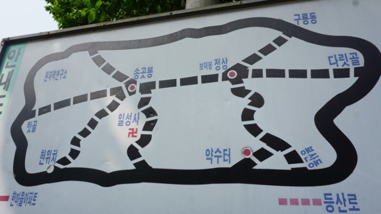  2019년 5월 16일 1,387회 대전 금병산