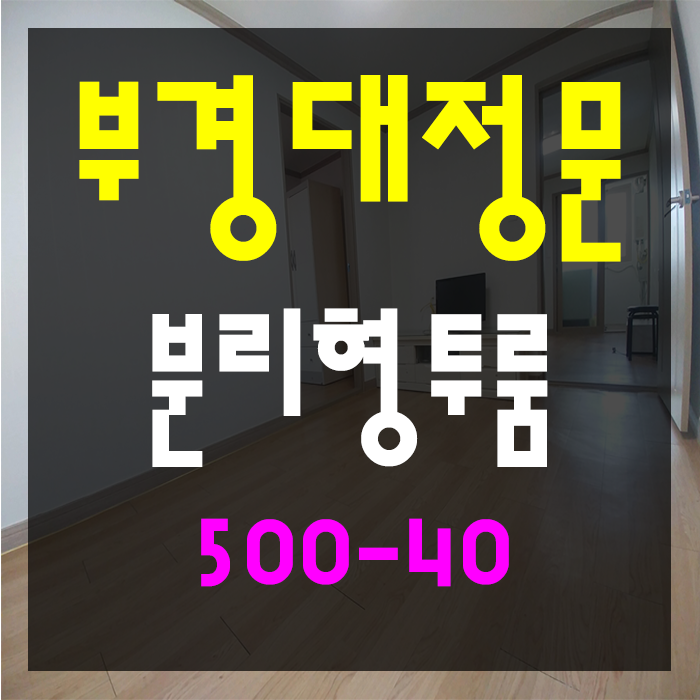  대연동 채광 좋은 분리형 투룸 구하세요?