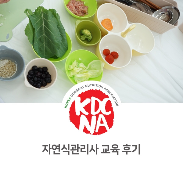  [반려동물 영양 전문 자격 교육] 강아지 자연식관리사 초급 과정 펫푸드 실습_47