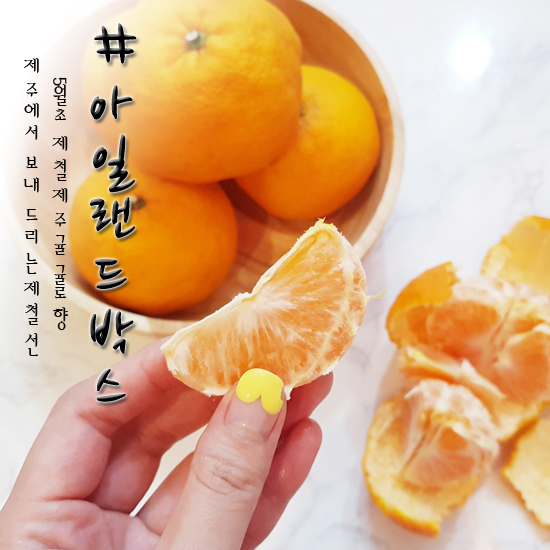  아일랜드박스 제주도 제철 귤로향 100% 느껴지는 달콤함!!