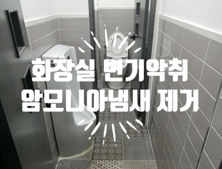  화장실내 변기악취 & 암모니아냄새제거