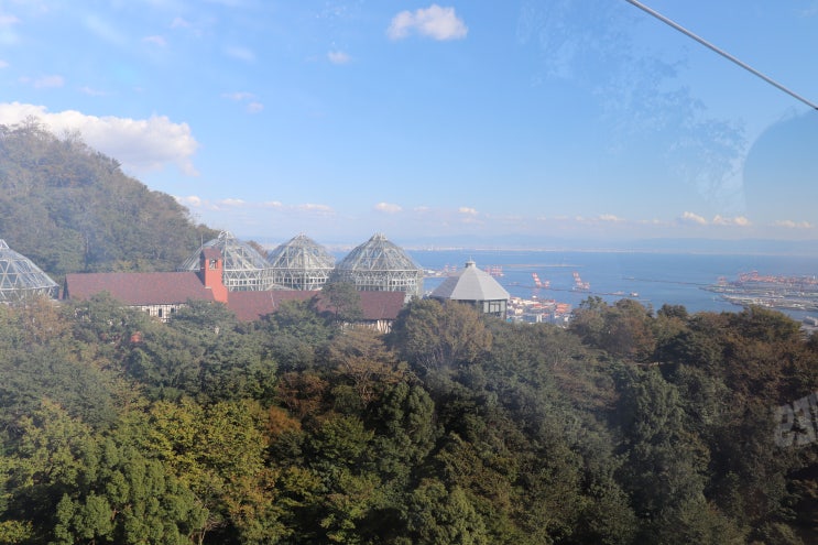  김학의 구속;특수강간,수뢰죄 등 구속 재수사 불가피