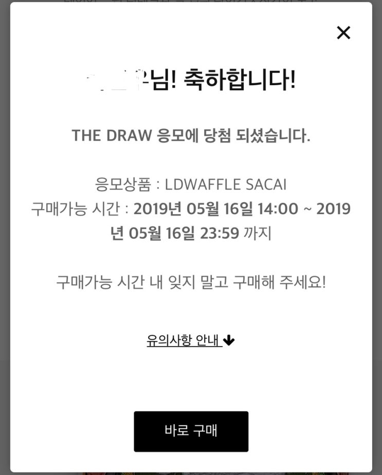  나이키 사카이 와플레이서 노/초 당첨!!