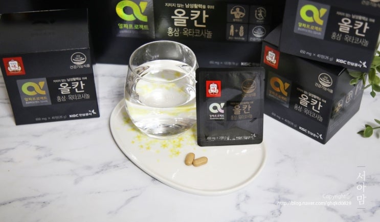  정관장 올칸 부부의날 남편 선물 골랐어요