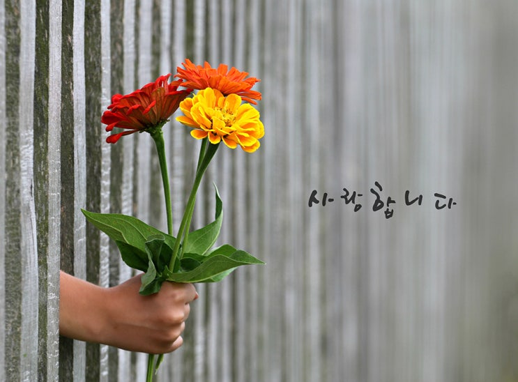 부부의 날 꽃과 함께 사랑을 선물하세요