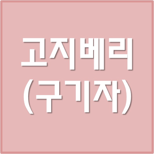  고지베리(구기자)가루 효능 및 부작용은?