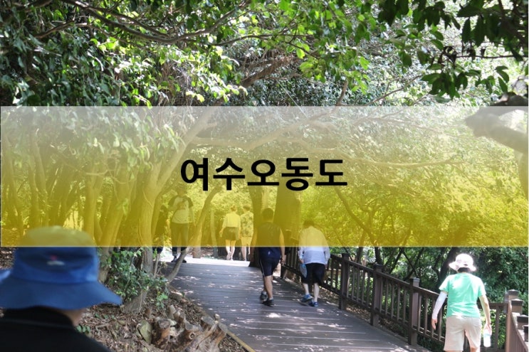  여수 여행 가볼만한곳 오동도 동백꽃 꽃말을 찾아서~~~