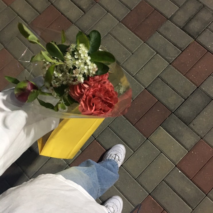  일상/대학축제기간