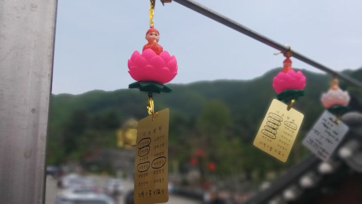  부처님 오신날 들린 와우정사 소원빌고 왔어요