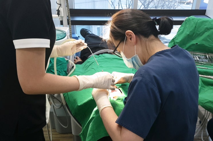  광화문역치과 유한양행 원플란트 런칭
