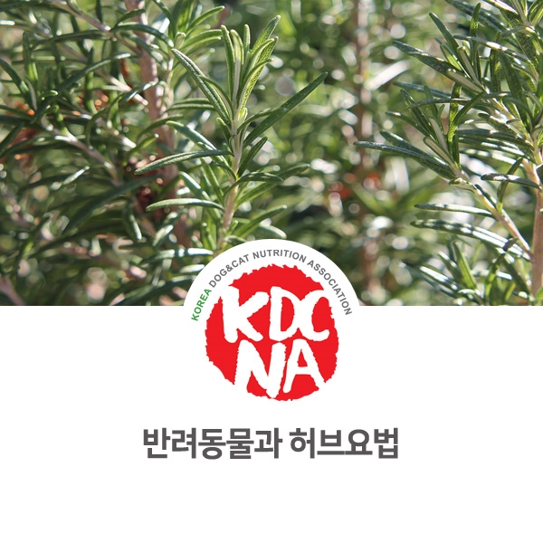 [반려동물 영양 전문 교육] 강아지 고양이 허브요법_49