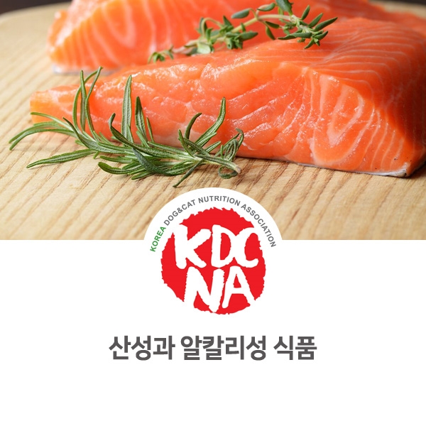  [강아지 고양이 영양 정보]  반려동물 펫푸드 식재료 산성과 알칼리성 알아보기_91