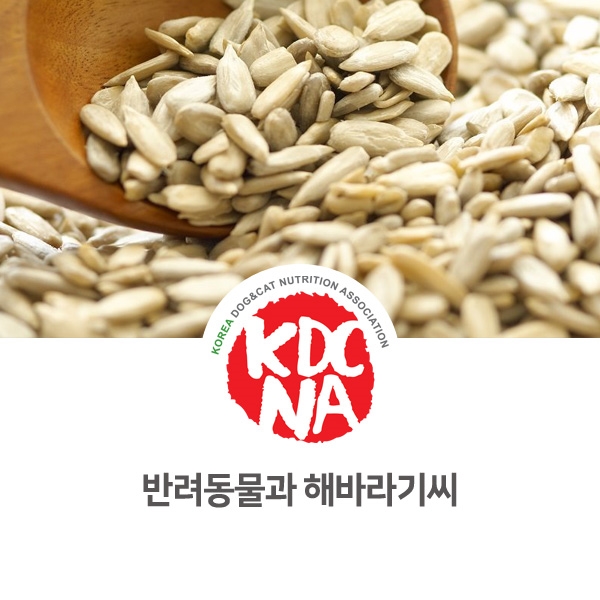  [강아지 고양이 영양 정보] 반려동물 해바라기씨 먹어도 되나요?_90