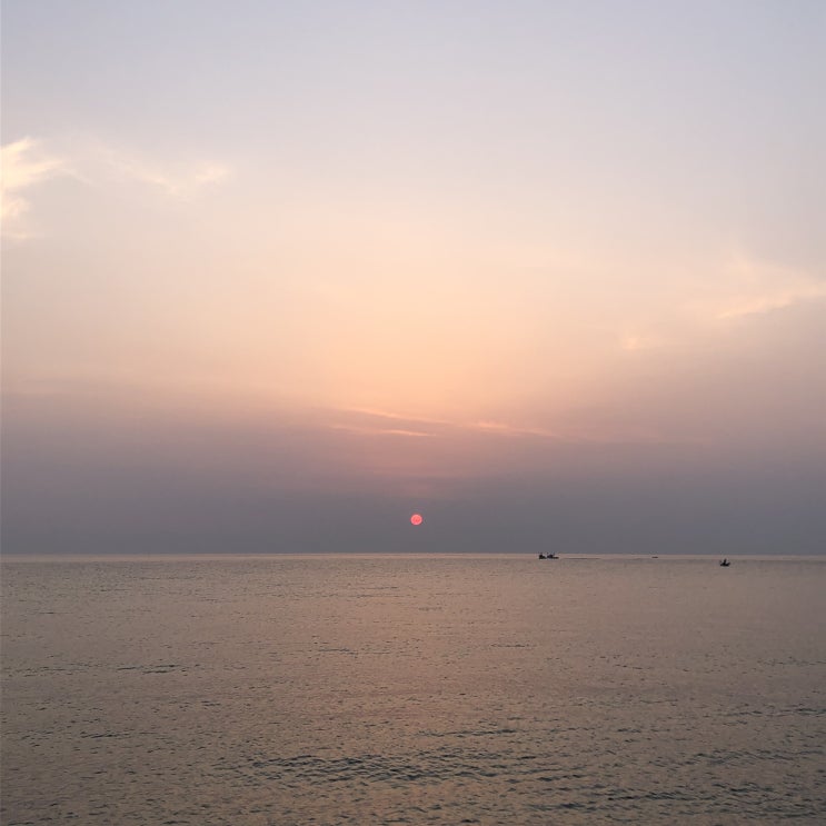  정동진 해돋이 여행 