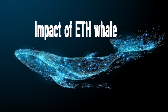  ETH전체 유통량의 33%가 376명의 ‘고래’라고 자칭하는 큰손이 보유