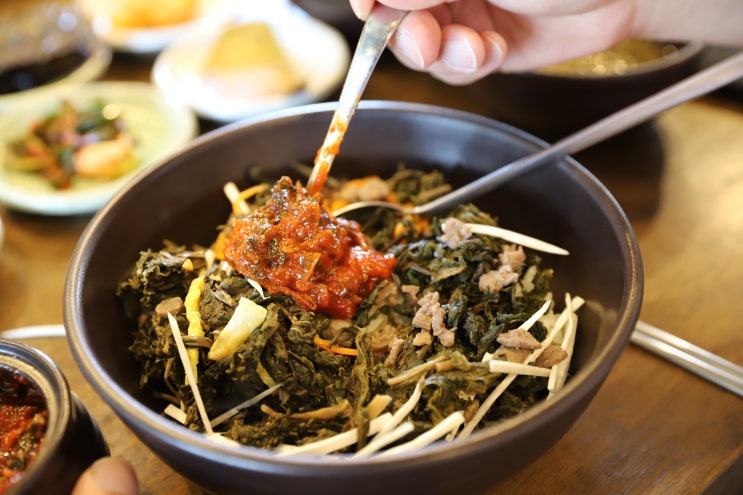 속초터미널 맛집 농부의밥상 강원도 나물