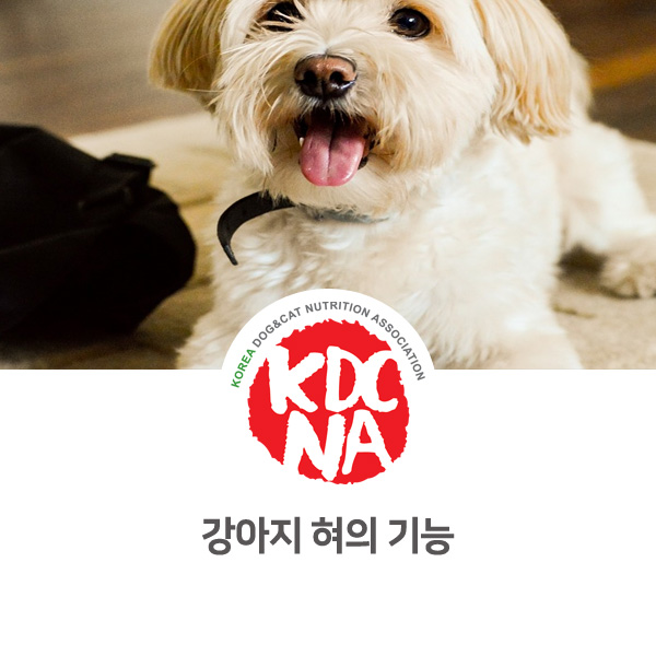 [반려인이 알아야 할 필수 정보] 강아지의 혀가 하는 역할_12