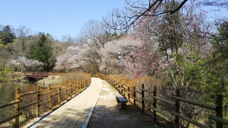  경기북부(포천/연천) : 국립수목원/아트밸리/허브아일랜드/허브빌리지