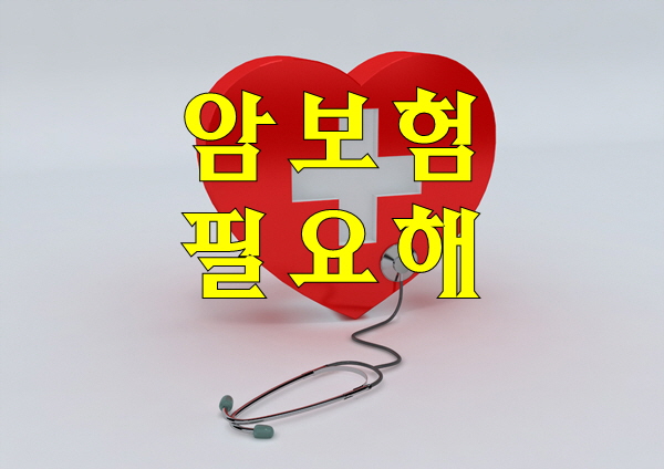  폐암보험 중요부분
