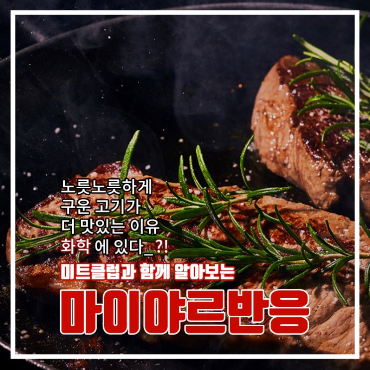  [미트클럽] 스테이크 맛있게 굽는 법, 마이야르만 알면된다?!