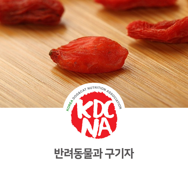  [강아지 고양이 영양 정보] 반려동물 구기자 식재료 먹어도 되나요?_93