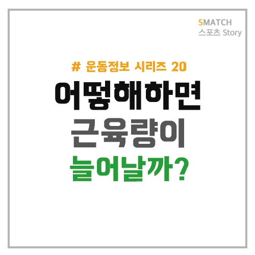  어떻게 하면 근육량이 늘어날까?