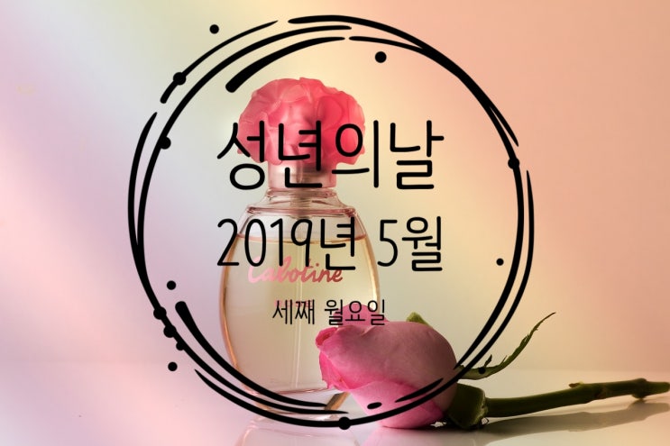  .2019년 성년의 날 유래/선물