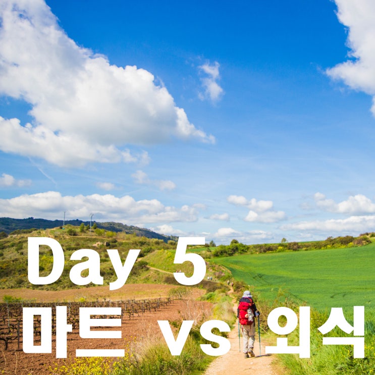  [D+24] 스페인 순례자의 길 5일차(4/16) 푸엔테 라 레이나 -> 에스텔라(에스테야), 26.4Km, 8시간 21분