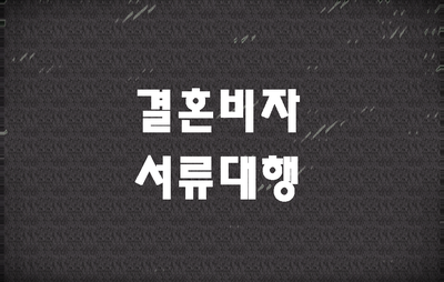  외국인결혼비자 F6비자 서류대행