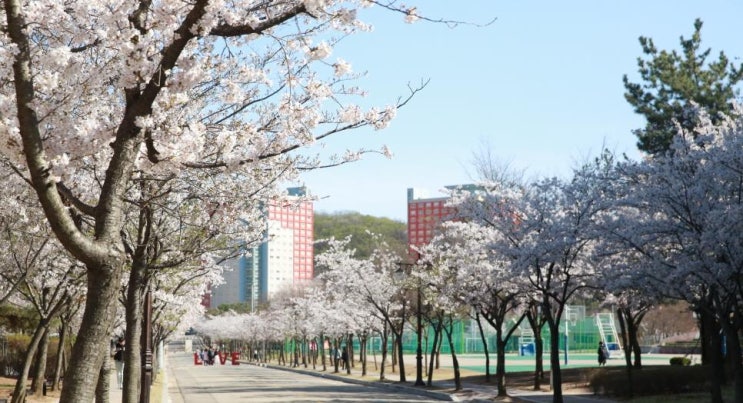  한양대 에리카 논술 (2020)