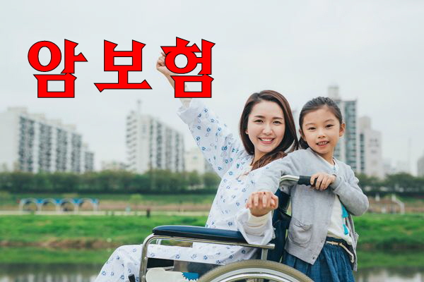  동부암보험 빠른비교